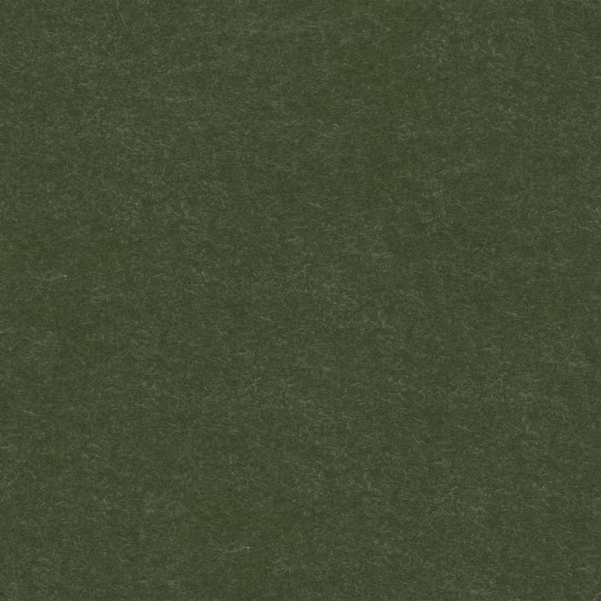 Voorbeeld vilt textuur voor de kleur forest moss