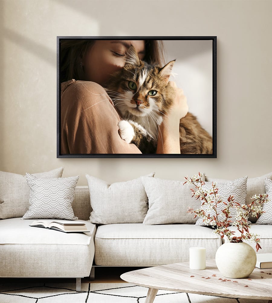 Afbeelding van een poes op canvas in een baklijst