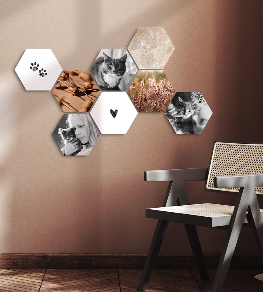CusttomShapes met afbeeldingen van poezen