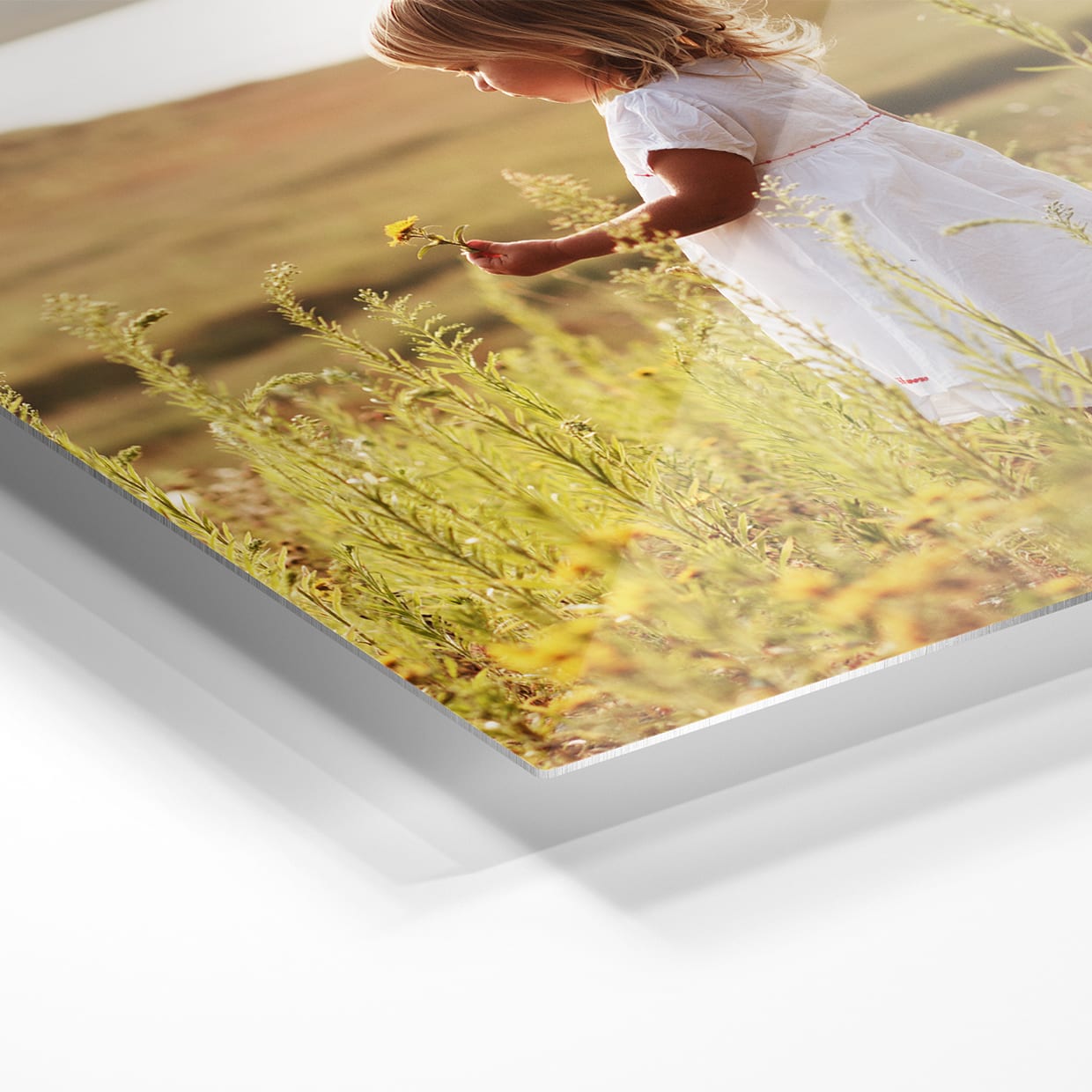 Foto op aluminium
